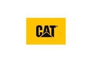 calcetines Cat